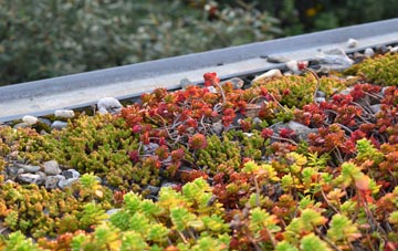 the cost of Hatfield Heath green roof installation